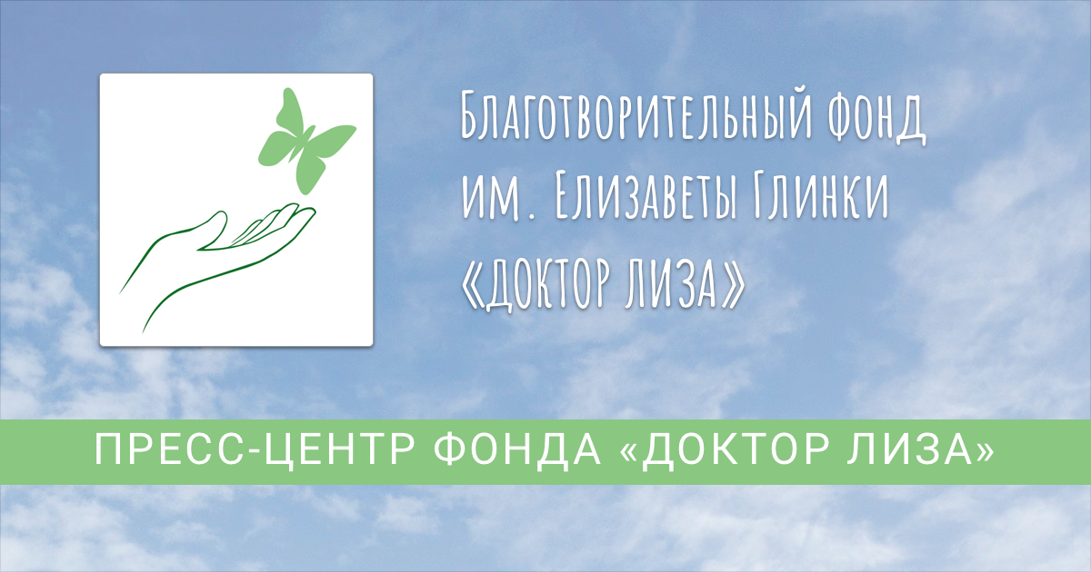 Фондей. Благотворительный фонд доктор Лиза. Благотворительный фонд Лизы Глинки. Доктор Лиза благотворительный фонд логотип. Благотворительный фонд им. Елизаветы Глинки «доктор Лиза».